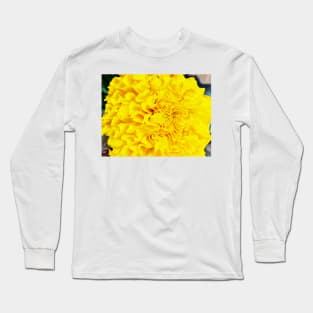 Pretty Yellows Long Sleeve T-Shirt